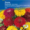 Zinnie Espana Mix | Zinniensamen Von Kiepenkerl 2 Zinnie Espana Mix | Zinniensamen Von Kiepenkerl -Samen Zauber 3505 Zinnie Espana Mix 3965 0