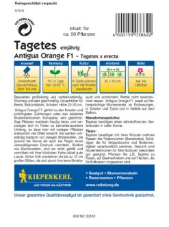 Tagetes Antigua Orange F1 | Studentenblumensamen Von Kiepenkerl -Samen Zauber 3528 Tagetes Antigua Orange F1 3862 1