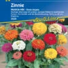 Zinnie Musica | Zinniensamen Von Kiepenkerl -Samen Zauber 3562 Zinnie Musica 3929 0