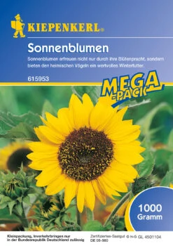 Sonnenblume Peredovick (1 Kg) | Sonnenblumensamen Von Kiepenkerl