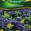 Duftblumen Schokolade Mit Sahne | Blumensamenmischung Von Quedlinburger -Samen Zauber 532106 Duftblumen Schokolade mit Sahn von Quedlinb