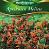 Aprikosen Melisse | Melissensamen Von Quedlinburger 1 Aprikosen Melisse | Melissensamen Von Quedlinburger -Samen Zauber 532146 Aprikosen Melisse von Quedlinburger Saatgut