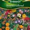 Sommerabend Mischung | Sonnenblumensamen Von Quedlinburger 1 Sommerabend Mischung | Sonnenblumensamen Von Quedlinburger -Samen Zauber 532169 Sommerabend Mischung von Quedlinburger Saat