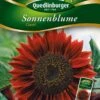 Sonnenblumen Claret | Sonnenblumensamen Von Quedlinburger -Samen Zauber 532177 Sonnenblumen Claret von Quedlinburger Saatg