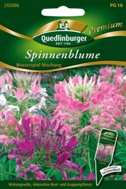 Spinnenblume Wasserspiel Mischung | Spinnenblumensamen Von Quedlinburger