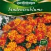 Studentenblumen Bonanza Bolero | Studentenblumensamen Von Quedlinburger -Samen Zauber 532193 Studentenblumen Bonanza Bolero von Quedlinb