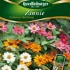 Zinnie Profusion Mix | Zinniensamen Von Quedlinburger -Samen Zauber 532211 Zinnien Profusion Mix von Quedlinburger Saa