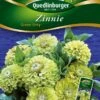 Zinnien Green Envy | Zinniensamen Von Quedlinburger -Samen Zauber 532212 Zinnien Green Envy von Quedlinburger Saatgu
