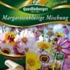 Margeritenblütige Mischung | Margeritensamen Von Quedlinburger -Samen Zauber 532269 Margeritenbluetige Mischung von Quedlinburg
