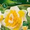 Narzisse Doktor Witteveen (5 Stück) | Narzissenzwiebeln Von Quedlinburger -Samen Zauber 533115 Narzisse Doktor Witteveen 5 Stueck 309942 qb 0