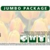 Tulpe Orange (50 Stück) | Tulpenzwiebeln Von Quedlinburger -Samen Zauber 533132 Tulpe orange 50 Stueck 308452 qb 1
