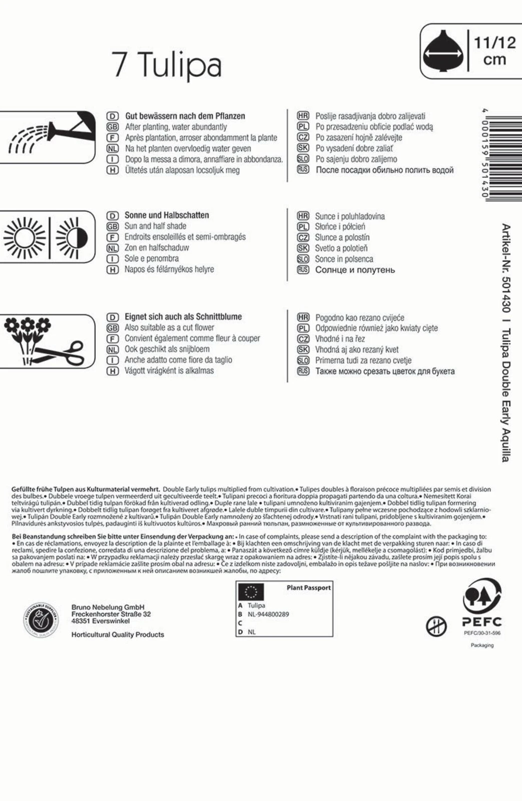 Mehrblütige Tulpen Aquilla (7 Stück) | Tulpenzwiebeln Von Kiepenkerl 3 Mehrblütige Tulpen Aquilla (7 Stück) | Tulpenzwiebeln Von Kiepenkerl