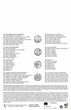 Tulpe Double Mischung (20 Stück) | Tulpenmischung Von Pegasus