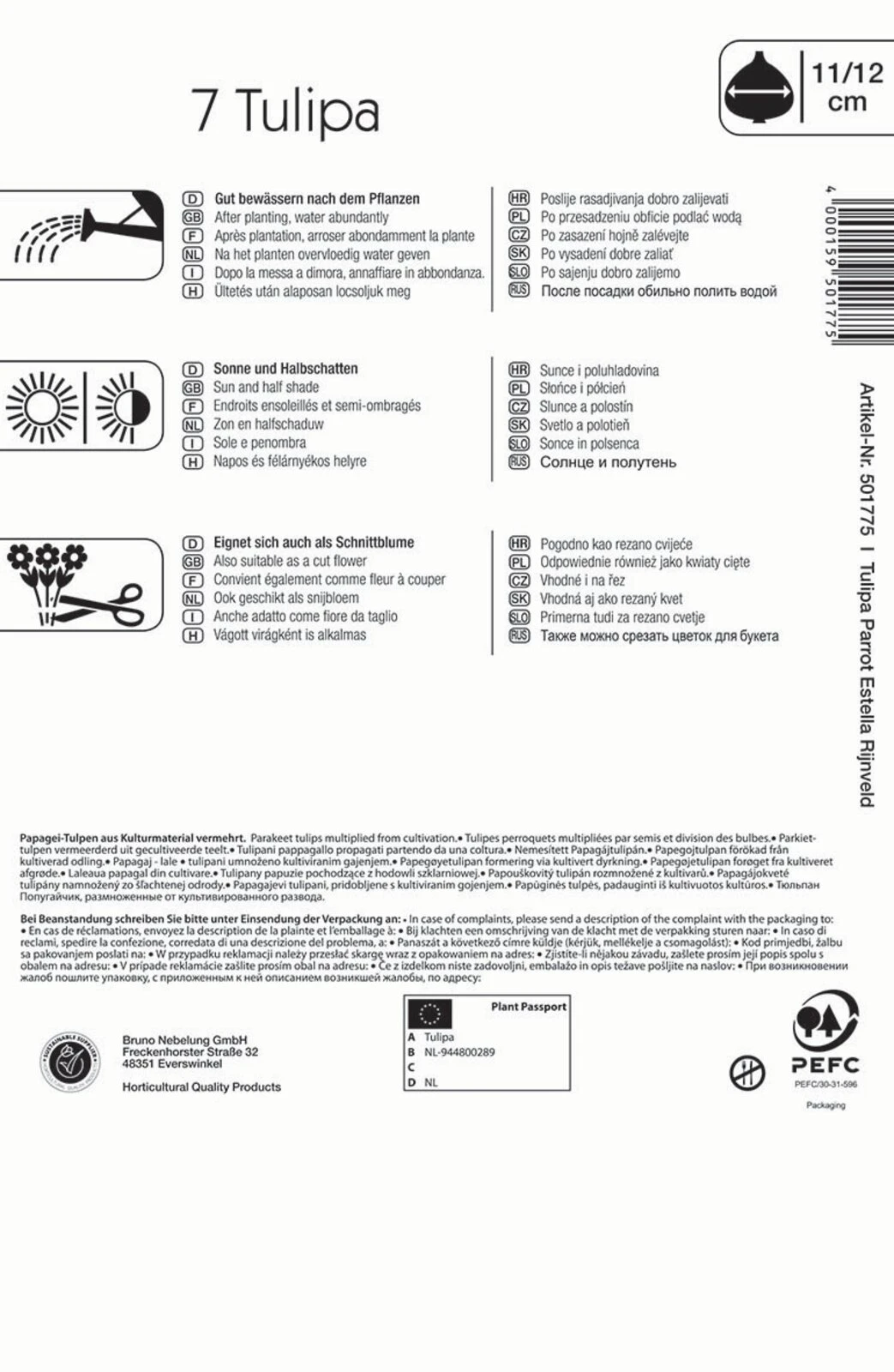 Papagei Tulpe Estella Rijnveld (7 Stück) | Tulpenzwiebeln Von Kiepenkerl 3 Papagei Tulpe Estella Rijnveld (7 Stück) | Tulpenzwiebeln Von Kiepenkerl