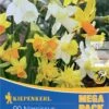 Mega-Pack Steingarten Narzissen Mischung (20 Stück) | Narzissenzwiebeln Von Kiepenkerl -Samen Zauber 533583 Mega Pack Steingarten Narzissen Mischung 20 Stueck 507036 0