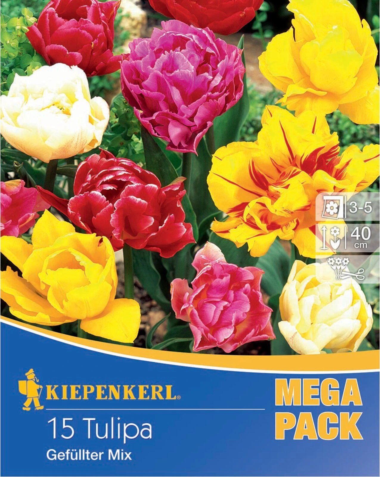 Mega-Pack Gefüllte Tulpen Mischung (15 Stück) | Tulpenzwiebeln Von Kiepenkerl 3 Mega-Pack Gefüllte Tulpen Mischung (15 Stück) | Tulpenzwiebeln Von Kiepenkerl