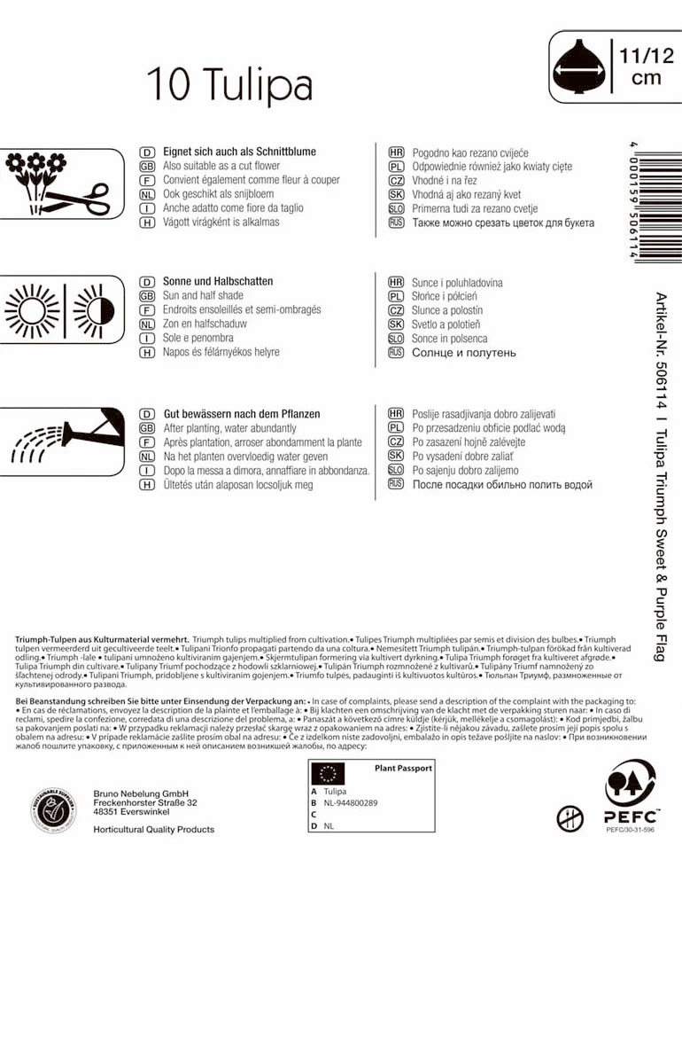 Triumph-Tulpe Dynamic Duo (10 Stück) | Tulpenzwiebeln Von Kiepenkerl 3 Triumph-Tulpe Dynamic Duo (10 Stück) | Tulpenzwiebeln Von Kiepenkerl