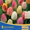Mega-Pack Triumph-Tulpe Pastell Farbenspiel (17 Stück) | Tulpenzwiebeln Von Kiepenkerl 1 Mega-Pack Triumph-Tulpe Pastell Farbenspiel (17 Stück) | Tulpenzwiebeln Von Kiepenkerl -Samen Zauber 533595 Mega Pack Triumph Tulpe Pastell Farbenspiel 17 Stueck 508514 0