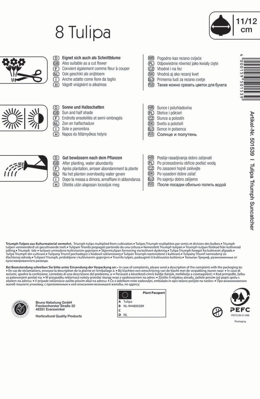 Triumph-Tulpe Suncatcher (8 Stück) | Tulpenzwiebeln Von Kiepenkerl 3 Triumph-Tulpe Suncatcher (8 Stück) | Tulpenzwiebeln Von Kiepenkerl