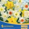 Mega-Pack Narzissen Mischung (17 Stück) | Narzissenzwiebeln Von Kiepenkerl 1 Mega-Pack Narzissen Mischung (17 Stück) | Narzissenzwiebeln Von Kiepenkerl -Samen Zauber 533620 Mega Pack Narzissen Mischung 17 Stueck 507012 0