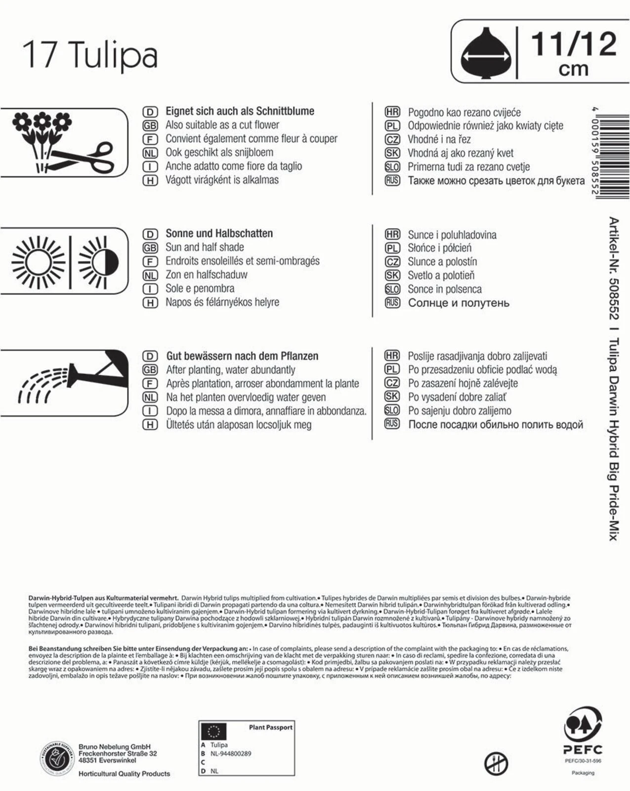 Mega-Pack Darwin-Hybrid-Tulpe Big Pride Mischung (17 Stück) | Tulpenzwiebeln Von Kiepenkerl 4 Mega-Pack Darwin-Hybrid-Tulpe Big Pride Mischung (17 Stück) | Tulpenzwiebeln Von Kiepenkerl – Bild 2