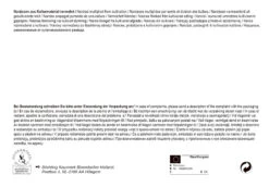 Trompetennarzisse Mischung (35 Stück) | Narzissenzwiebeln Von Pegasus