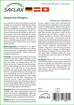 Japanisches Blutgras | Gräsersamen Von Saflax 5 Japanisches Blutgras | Gräsersamen Von Saflax -Samen Zauber 535598 Japanisches Blutgras 13307 sa 1