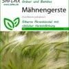 Mähnengerste | Gräsersamen Von Saflax -Samen Zauber 535602 Maehnengerste 13311 sa 0