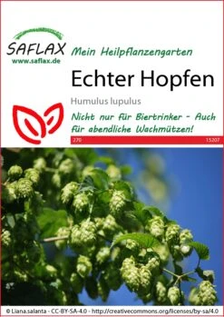 Echter Hopfen | Heilpflanzensamen Von Saflax