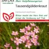 Tausendgüldenkraut | Heilpflanzensamen Von Saflax -Samen Zauber 535660 Tausendgueldenkraut 15212 sa 0