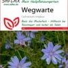 Wegwarte | Heilpflanzensamen Von Saflax -Samen Zauber 535670 Wegwarte 15222 sa 0