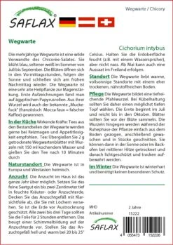 Samen Zauber -Samen Zauber 535670 Wegwarte 15222 sa 1