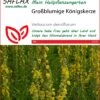 Großblumige Königskerze | Heilpflanzensamen Von Saflax -Samen Zauber 535671 Grossblumige Koenigskerze 15223 sa 0