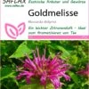 Goldmelisse | Melissensamen Von Saflax 2 Goldmelisse | Melissensamen Von Saflax -Samen Zauber 535685 Goldmelisse 17516 sa 0