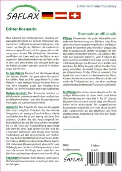 Echter Rosmarin | Rosmarinsamen Von Saflax 5 Echter Rosmarin | Rosmarinsamen Von Saflax -Samen Zauber 535688 Echter Rosmarin 17520 sa 1