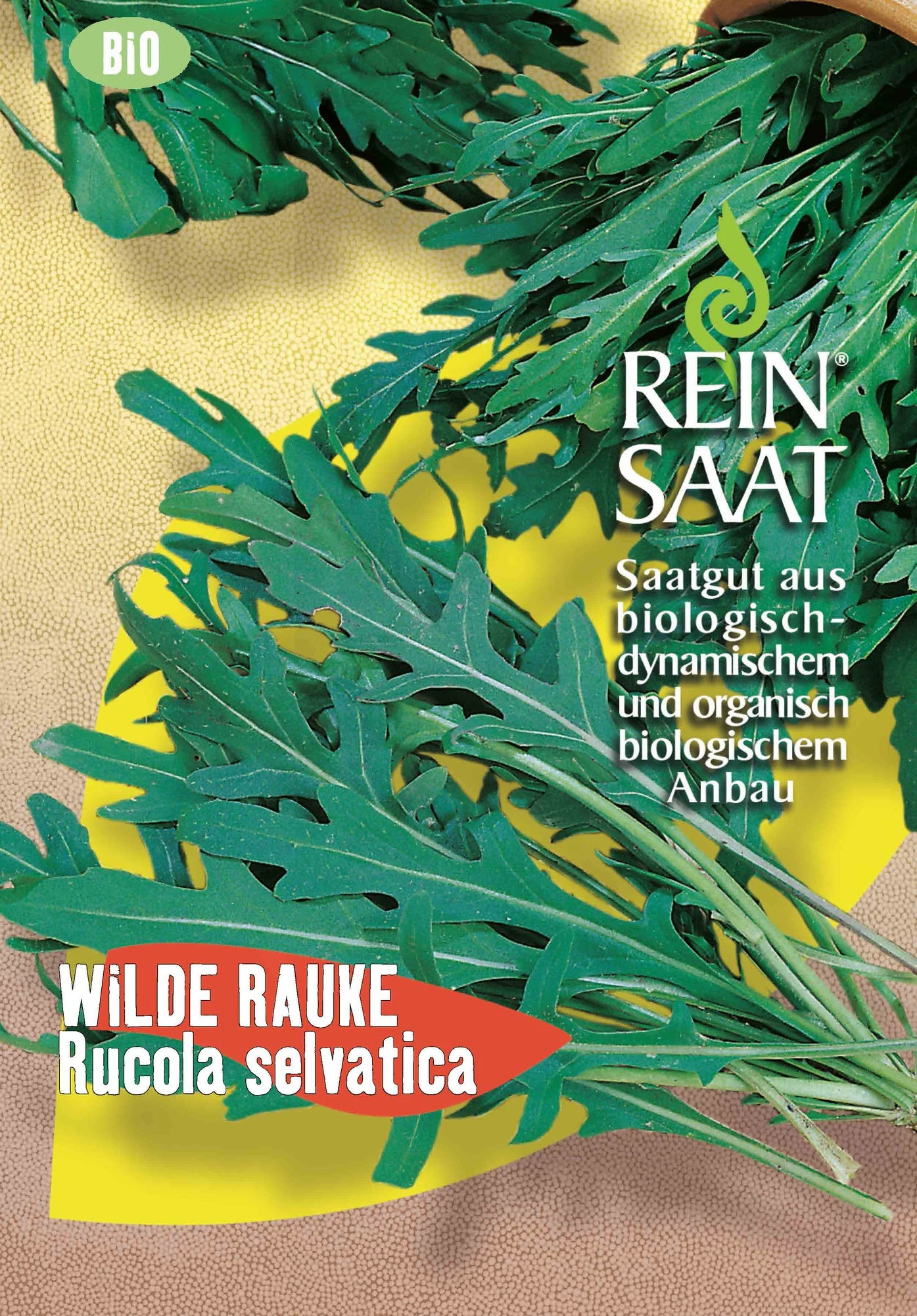 Wilde Rauke Rucola Selvatica | BIO Raukesamen Von Reinsaat 3 Wilde Rauke Rucola Selvatica | BIO Raukesamen Von Reinsaat