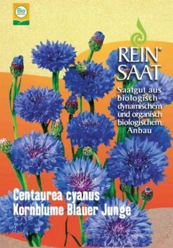 Kornblume Blauer Junge | BIO Kornblumensamen Von Reinsaat