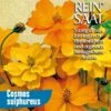 Cosmea Orange | BIO Cosmeasamen Von Reinsaat -Samen Zauber 535932 BIO Cosmea orange B22 rs 0