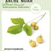 Monatserdbeere Fraise Des Bois | BIO Erdbeerensamen Von Arche Noah -Samen Zauber 536976 Monatserdbeere Fraise des Bois