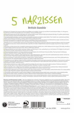 Narzisse British Gamble (5 Stück) | Narzissenzwiebeln Von Sperli