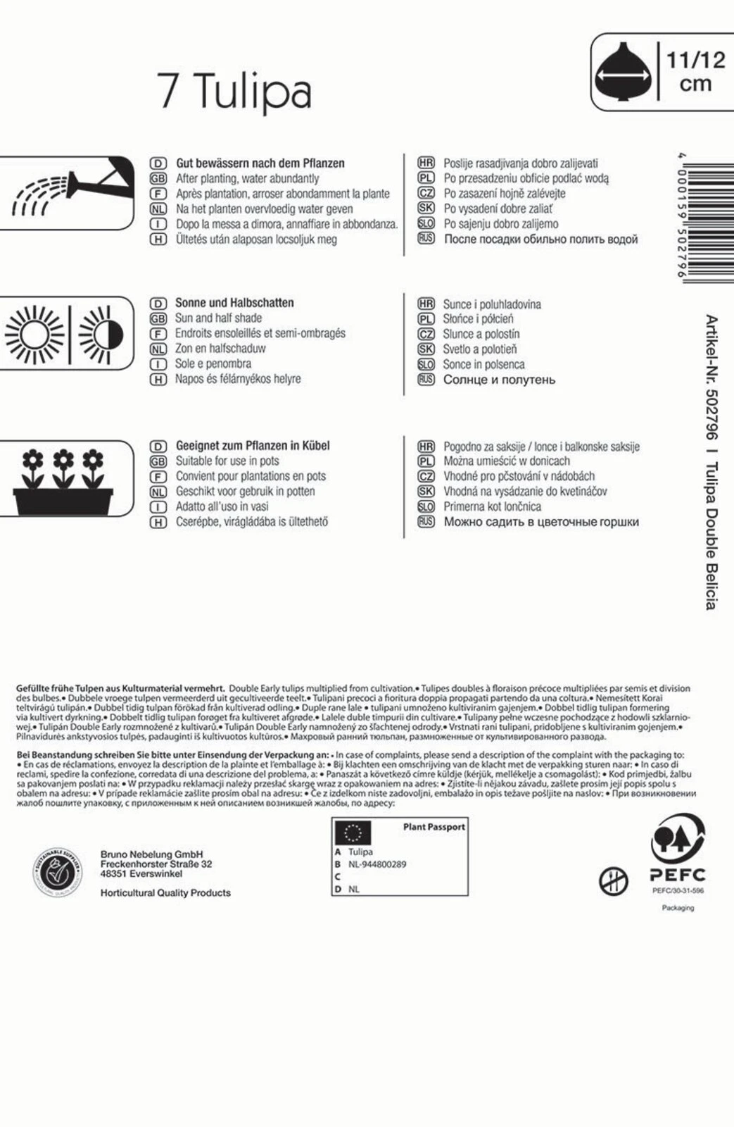 Mehrblütige Tulpe Belicia (7 Stück) | Tulpenzwiebeln Von Kiepenkerl 3 Mehrblütige Tulpe Belicia (7 Stück) | Tulpenzwiebeln Von Kiepenkerl