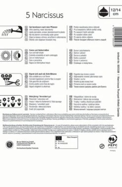 Narzisse British Gamble (5 Stück) | Narzissenzwiebeln Von Kiepenkerl