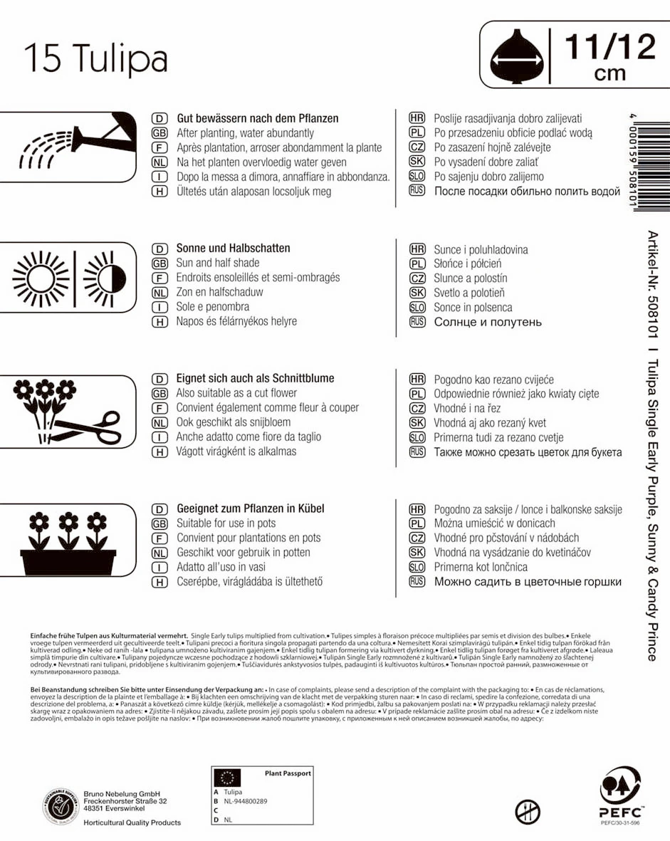 Mega-Pack Einfache Frühe Tulpe Princen Mischung (15 Stück) | Tulpenzwiebeln Von Kiepenkerl 4 Mega-Pack Einfache Frühe Tulpe Princen Mischung (15 Stück) | Tulpenzwiebeln Von Kiepenkerl – Bild 2