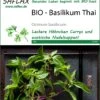 Basilikum Thai | BIO Basilikumsamen Von Saflax 2 Basilikum Thai | BIO Basilikumsamen Von Saflax -Samen Zauber 540040 Bio Basilikum Thai 15302 sa 0