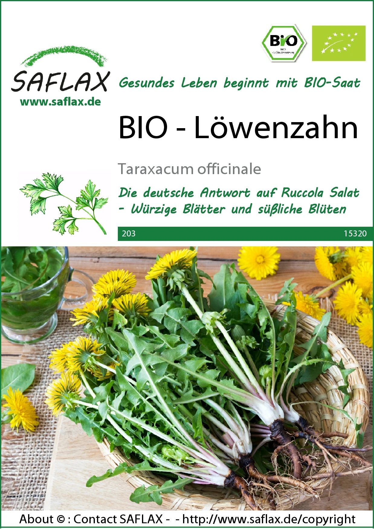 Löwenzahn | BIO Löwenzahnsamen Von Saflax 4 Löwenzahn | BIO Löwenzahnsamen Von Saflax – Bild 2