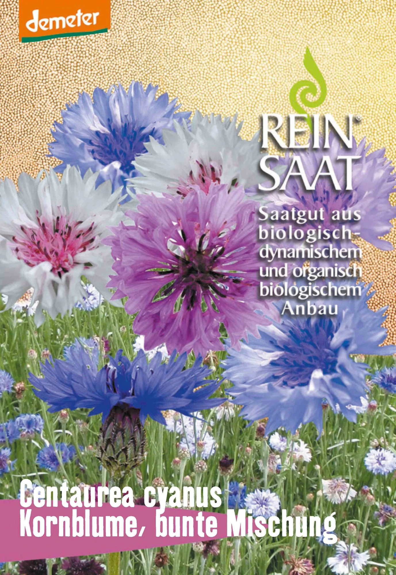 Kornblume Bunte Mischung | BIO Kornblumensamen Von Reinsaat 3 Kornblume Bunte Mischung | BIO Kornblumensamen Von Reinsaat