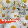 Margerite Frühling | BIO Margeritensamen Von Reinsaat -Samen Zauber 540556 BIO Margerite Fruehling B91 rs 0