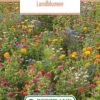 Blumenwiese Feldblumenmischung (100 G) | Blumensamen Von Bertrand -Samen Zauber 540950 Blumenwiese Landblumen 100 g