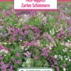Blumenwiese Mini Teppich Zartes Schimmern (100 G) | Blumensamen Von Bertrand -Samen Zauber 540953 Blumenwiese Mini Teppich Zartes Schimmern 100 g