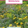 Blumenwiese "Die Essbaren Blumen" (100 G) | Blumensamen Von Bertrand -Samen Zauber 540960 Blumenwiese Pfarrgarten 100 g